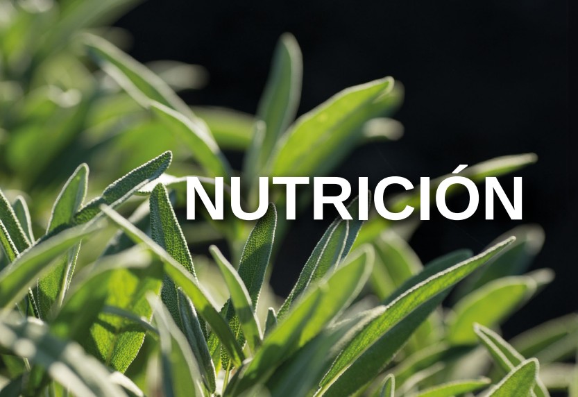 Portada del catálogo Nutrición